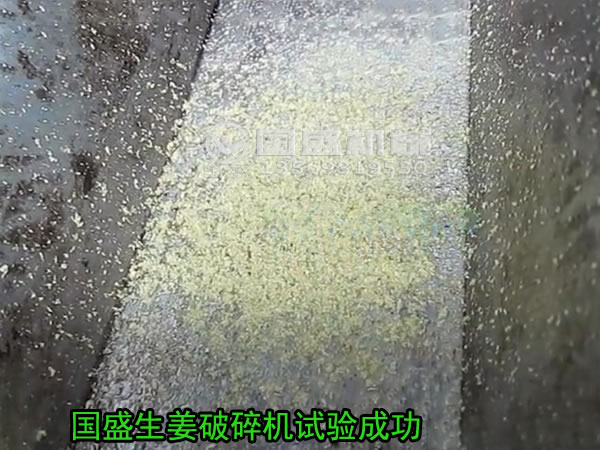 粉碎姜的機(jī)(jī)器